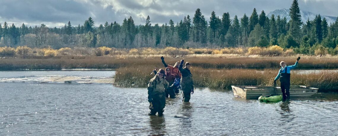 TAYLOR TALLAC AQUATIC INVASIVE SPECIES REMOVAL