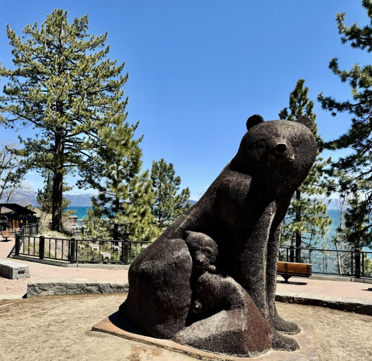 TAHOE FUND INSTALLS NEW DONOR ENGRAVED BEARS IN TAHOE CITY’S HERITAGE ...